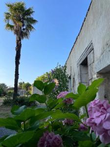 Appart'hotels Domaine Manilea - Piscine - Proche Ocean : photos des chambres