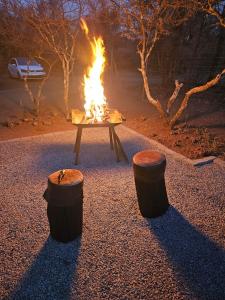 Thirty-Three Dinokeng Big 5