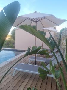 Maisons de vacances Villa Manoa : photos des chambres