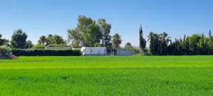 La Caseta Dels Avis - Sant Jaume d'Enveja