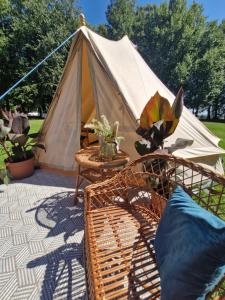 Glamping za Zamkiem w Chęcinach