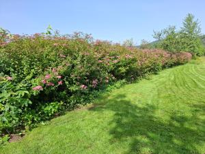 Cabana lemn rotund cu ciubar de închiriat Bucovina Chalet