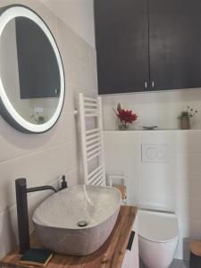 Les Pingouins de la Marne 2