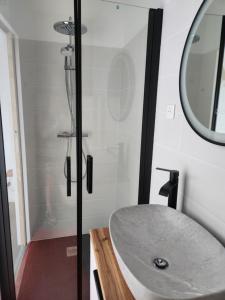 Les Pingouins de la Marne 2