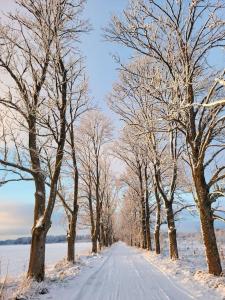 Cottage in Nature, free sauna, free breakfast