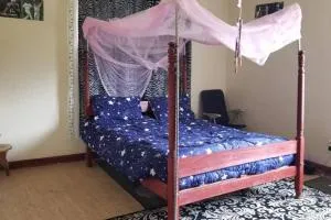 Cheerful 4 bedroom bungalow with the best location - Kisoro