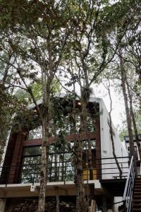Lujosa casa en el Bosque cerca de la ciudad