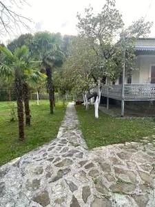 Rancho Kursebi - Tkibulges