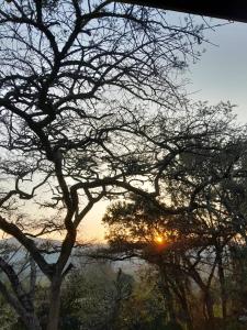 Mantombis Guest House