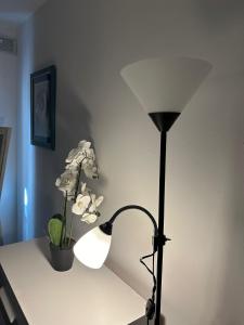 Winsdor Costa Adeje Apartment