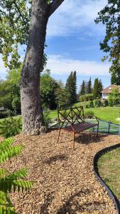 Ferien-Wohnung mit Pool in exklusiver Waldrand Lage