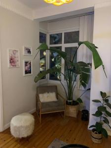 Taksim cihangir de Keyifli Daire