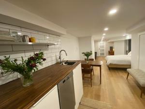Lower level newly renovated studio apartment in central downtown location