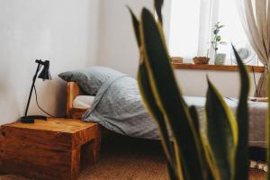 Kieszonka dla singla