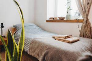 Kieszonka dla singla