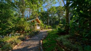 Dragonfly Beachfront Villas-Adult Only