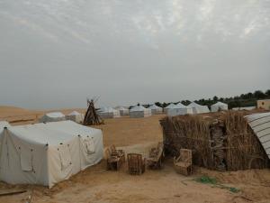 مخيم وادى الحيتان بالفيوم