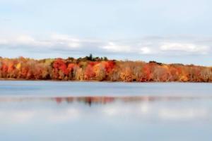 Picturesque lake-front cottage close to amenities