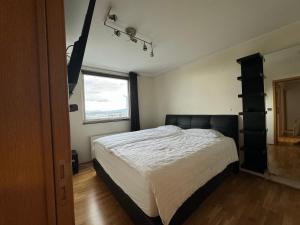 High Rise Apartment with a view