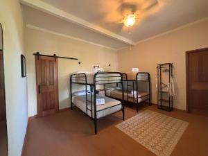 Coquira Soil Project