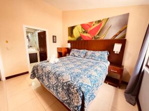 Jaco Sol Quadplex 11A