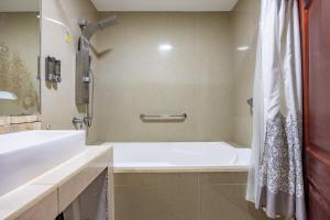 Jaco Sol Quadplex 11A