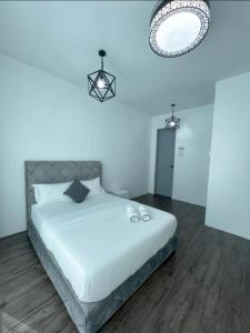SDC Suite Home