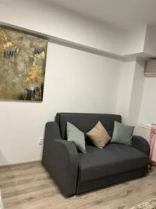 Garsoniera Andrei - 泰基尔吉奥尔