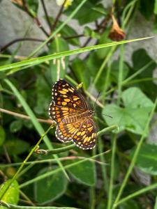 Cocoa by Casa Momo Apartamento Acogedor y Céntrico