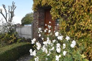 Appartement cosy à la campagne