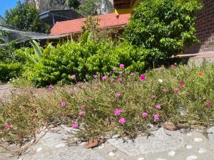 Tam coc happy homestay