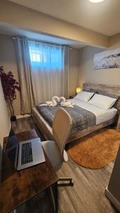 Luxury Basement Suite with 2 Bedrooms, 2 Queen Beds, Free Wi-Fi, and Free Parking