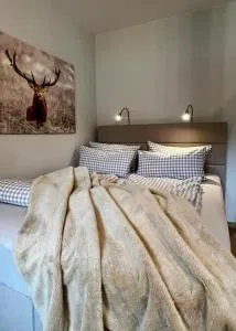 The Lodge Braunlage - 施尔奇