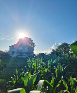 Camping & biofarm Gjegji