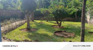 Tradewinds Apartment