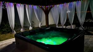 Maisons de vacances Les Trois Palmiers - Jardin, Jacuzzi privatifs : photos des chambres