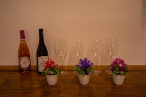 Elenis, in the heart of the old Town apartment