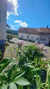 Apartman Kristina - Vukelići