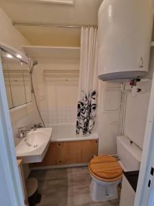 Appartements Studio Le Gentiane : photos des chambres