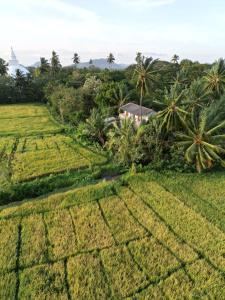 Viveka Inn Guest and Yala Safari