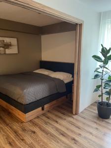 Good Vibes apartments