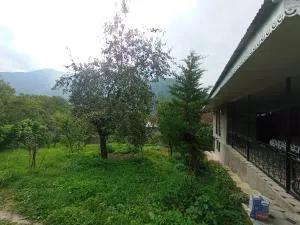 Fun at the foot of the mountain - 卡希