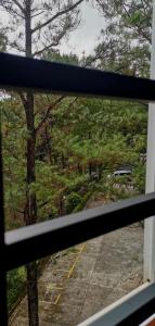 Couples Choice Homestay