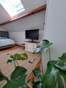 Gîte Le Renard qui passe