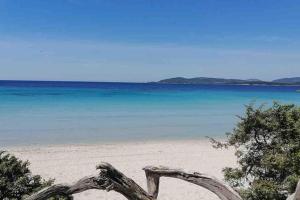 appartamento a due passi dal mare img13