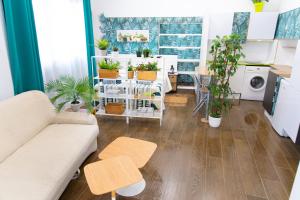 Alojamientos Puerta Palma Estudio