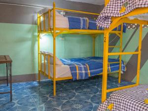 Happy House Backpackers