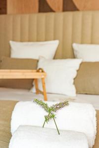 B&B / Chambres d'hotes Les Gites de Laure - L-Eden Romantique, Chambres Hotes, Spa prive, Couloir de nage, Adults only : photos des chambres