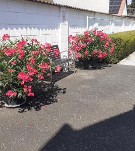 Czinger Vendégszobák