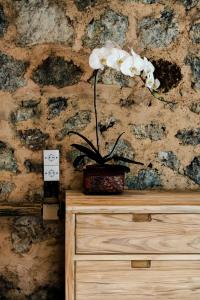 Apple by Toraja Bambu Uluwatu at Padang Padang Beach